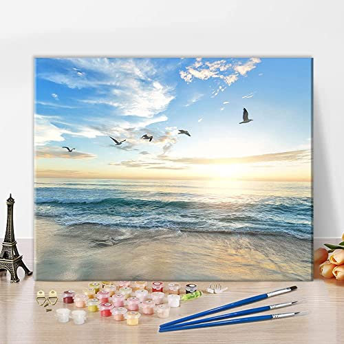 TISHIRON Malen nach Zahlen für Erwachsene Anfänger,Kinder Sonnenuntergang Strand Ozean Vögel Malerei Möwen DIY Ölgemälde Kit mit Pinseln Acrylpigment für Home Wall Decor 16 x20