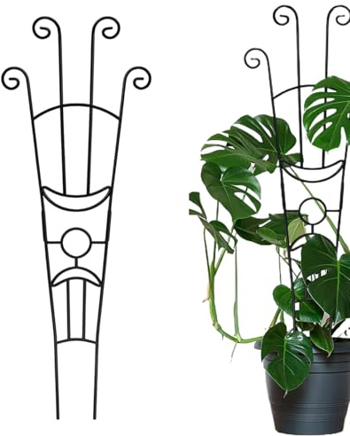 Jukeoiu Rankhilfe Für Kletterpflanzen Im Freien,Pflanzenstütze Für Zimmerpflanzen,Metall Rankhilfe Im Efeu Design | Für Innen Und Außen Garten Balkon Efeutute Monstera Efeu Clematis Und Garten