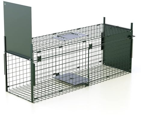 Piège Vivant 80 x 26 x 26 cm Piege Fouine Piège Chats Piège Réutilisable Piège d'animaux Cage avec 2 entrées Pliable des Animaux pour Martres,Renards,Raton -Vert