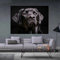 DIY 5D Diamant Malerei Vollbohrer Kit, Schwarzer Labrador-Hund 5D Diamond Painting Set,Malen nach Zahlen Diamant,Diamond Painting Bilder für Erwachsene Kinder,Handarbeit Basteln Wand Decor 50x60cm