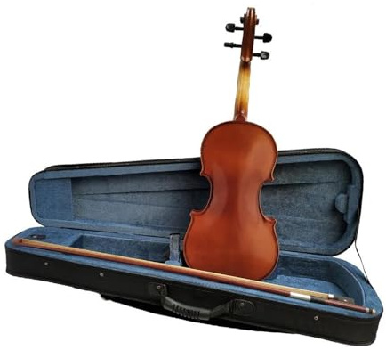 geige anfänger 1/16-4/4 Violine Mit Leinenetui Und Brasilbogen (Color : 4/4)