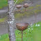 Robins on Heart Bird Bath Feeder | Large Metal Robin Garden Ornament Outdoor