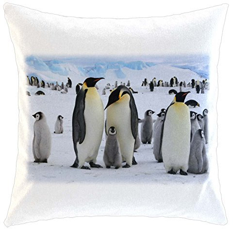 Kissen/weiches Kuschelkissen mit Füllung 40x40cm - Motiv: Pinguin Kolonie in der Antarktis | 005