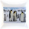 Kissen/weiches Kuschelkissen mit Füllung 40x40cm - Motiv: Pinguin Kolonie in der Antarktis | 005
