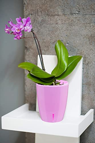DECOPOTS - Selbstbewässernder Orchideentopf - Pflanztöpfe ideal für Orchideen - Drainage- und Wasserstandsanzeiger - Pflanztopf mit Selbstbewässerungsfunktion (14 cm, Lavendel)