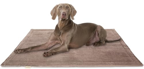 Knuffelwuff Hundedecke Timor 100x70cm Braun - Bequeme und Pflegeleichte Liegedecke aus weichem Cord - waschbar - für große, mittelgroße und kleine Hunde
