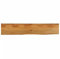 Massivholz Mango Küche Arbeitstisch Premium Holzoberfläche für Esstisch, Schreibtisch, Theke und Arbeitsplatz, 160 x 20 x 3,8 cm