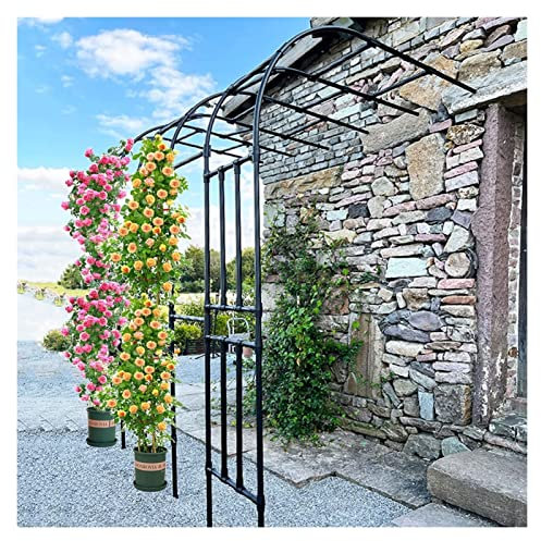 Medio Arco De Metal, Arco De Jardin, Arco De Rosas, Enrejado De Arco, Pérgola De Cenador Para Plantas Trepadoras, A Prueba De La Intemperie, Patio Trasero Del Jardín Del Césped, 2,4 M, Negro ( Size :