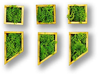 Moosly® Moosbild - Punkt Komma Satzzeichen - mit Rahmen aus Holz, Moos Deko Buchstaben Zeichen Symbol Zahl Holzbuchstabe mit echtem Islandmoos Wandtattoo Wandsticker Wandbild selbstklebend Wohnzimmer