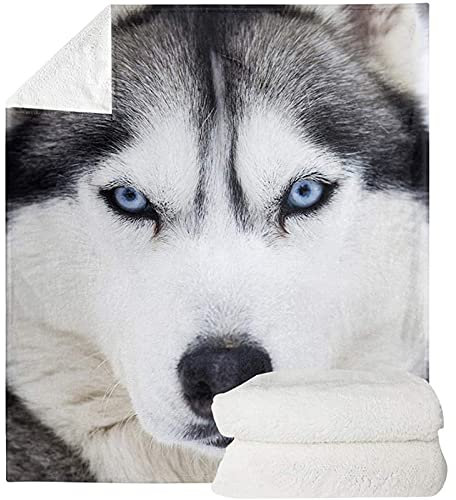 HUGS IDEA Luxus-Überwurfdecke aus Kunstfell Husky – entzückender sibirischer Schlitten, für Hundeliebhaber, weich, warm, gemütlich, flauschig, Plüschdecke, super weich, warm – XL