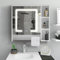 TUKAILAi Armoire de Salle de Bain avec Miroir, Armoire Toilette Miroir avec Eclairage LED et USB Port, de Salle de Bain Rangement avec 1 Porte 5 Etagères Reglables et Porte-Serviettes