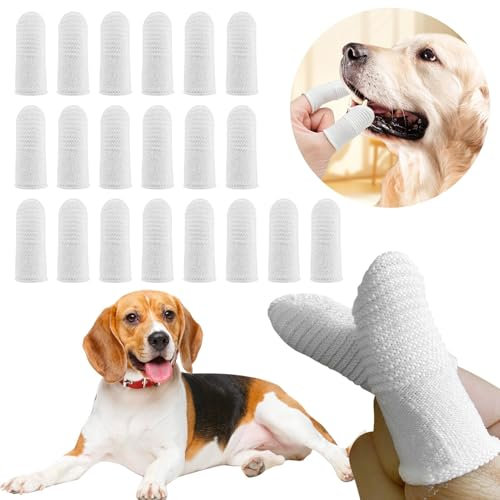 20pcs Hundezahnbürste Fingerling, 360° Reinigung Zahnreinigung Hund, Anti-Plaque Finger Hund effizient und sauber, Wiederverwendbare Haustier Fingerzahnbürste für Hunde Katzen Zahnpflege(Weiß)