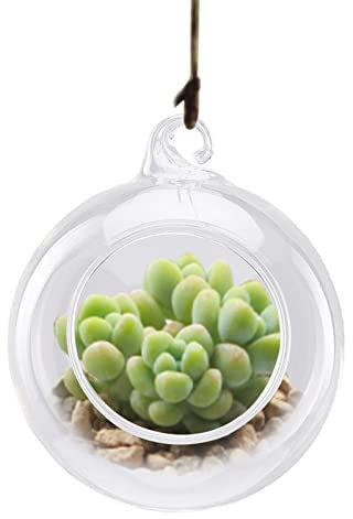 Terrario de Vidrio Colgante Bolas Colgantes de Vidrio Suculentas Macetas con Forma de Globo Las Bolas Colgantes Pueden Colgar Candelabros de Cristal Bolas Transparentes Macetas para Interiores(#1)