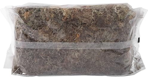 Tomvorks Phalaenopsis Sphagnum Moos, 6L Gartenfeuchtigkeitsfeuchtigkeits-Ernährung Bio-Dünger, Sauberes und Nährstoffreiches, Ausgezeichnetes Belüftung, Leicht zu Kultivierende,