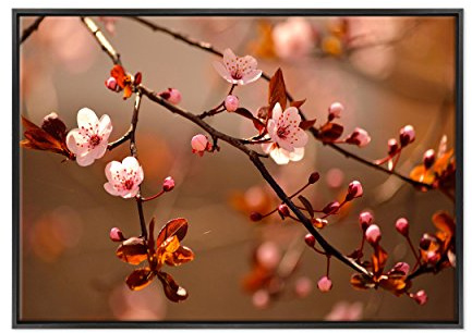 ConKrea Quadro su Tela Canvas INTELAIATO - con Cornice - Albero Ciliegio in Fiore - Giappone Giapponese Sakura - 70x100cm - Stile Moderno Nero- (cod.1782)