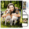 Peinture personnalisée par numéros pour adultes kits de peinture professionnelle pour animaux et portraits, cadeaux de bricolage Faites votre propre photo avec un cadre, peinture de dessin et pinceaux