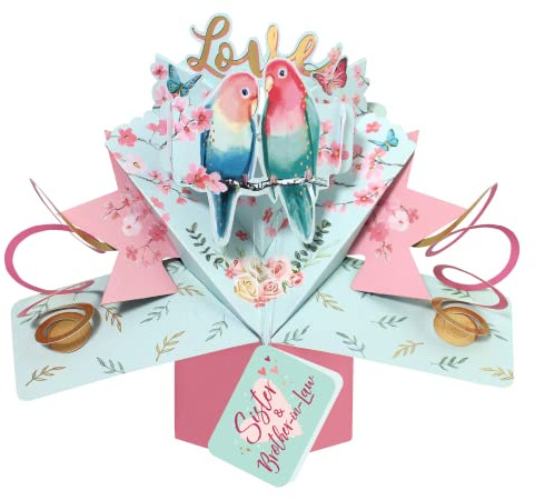 Love Birds Sister & Brother-In-Law Pop Up Anniversary Card Suit Any Occasion POP199C13