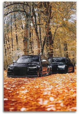 HALOUB Sportwagen-Poster für Audi RS6 Supercar Rennauto, dekoratives Gemälde, Leinwand, Wand- und Kunstbild, Dekoration für Familienzimmer, 30 x 45 cm