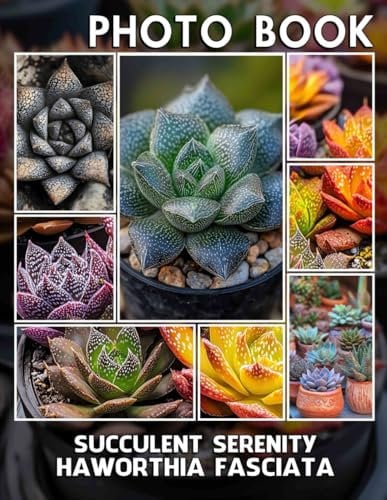 Succulent Serenity Haworthia Fasciata Photo Book: Stunning Images Of The Haworthia Fasciata For Plant Lovers And Decor Enthusiasts