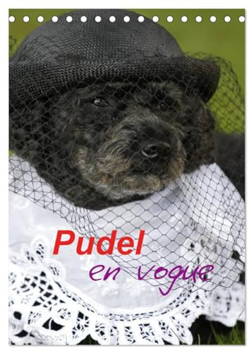 Pudel en vogue (Tischkalender 2026 DIN A5 hoch), CALVENDO Monatskalender: Zwei süße Pudel als Models (CALVENDO Spass)
