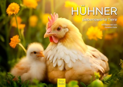 Edition Seidel Premium Kalender Hühner 2026 Format DIN A4 Wandkalender Tierkalender liebenswerte Tiere Vögel Huhn Hahn Kücken Melanie Viola