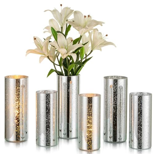 Glasseam Glas Vasen Deko, Mercury Zylinder Vase Silber Glasvasen, 2 Stück Schöne Blumenvasen Modern Vasen Hochzeit Tischdeko, Dekorative Tulpenvase Zylindervase Kerzenhalter Windlicht für Wohnzimmer