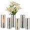 Glasseam Glas Vasen Deko, Mercury Zylinder Vase Silber Glasvasen, 2 Stück Schöne Blumenvasen Modern Vasen Hochzeit Tischdeko, Dekorative Tulpenvase Zylindervase Kerzenhalter Windlicht für Wohnzimmer
