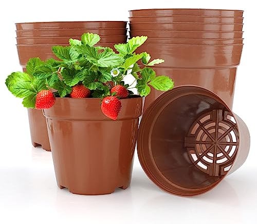LWMLWM Vasi da coltivazione, Ø 12 cm, 10 pezzi, vasi per piante rotondi, per piante coltivate – vasi da fiori per piantine di frutta, verdura, piante, piante grasse, piantine, talee, trapianto