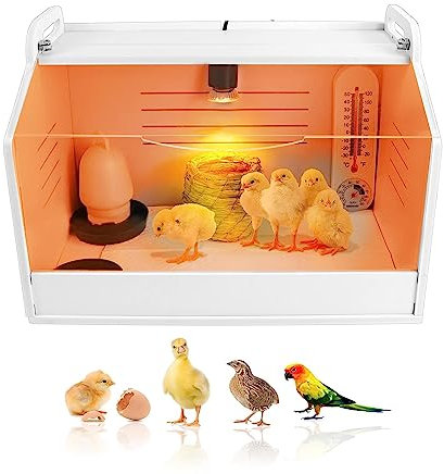 Incubatrice per pulcini, incubatrice, lampada riscaldante, finestra trasparente, incubatrice, scalda fino a 15 pulcini per organo di pollo, anatra, colomba, quaglia, uccello, 220 V