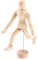 POTRUWE Künstlerpuppe aus Holz, mit Gelenken, 11,4 x 14 x 20,3 cm, männliche Künstlerpuppe, bewegliche Schaufensterpuppe mit Basis und flexiblen Körpergelenken, menschliche Figur
