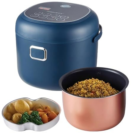 Cuiseur De Riz, Rice Cooker Capacité 2 L,200W Cuiseur Riz Voiture, Cuve antiadhésive, Fonction de maintien au chaud, Cuiseur à Riz Portable pour Voiture 12V 24V 220V,acier inoxydable sans BPA