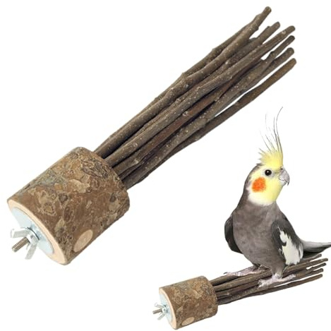 Hölzerner -Barsch - Vistaprint Natural Bird Barch |, Foto hölzerner Papageistand Zweig | Fußschleiftgabel für Kostüm -Trainingstraining Zweig Cockatiel, Vogel