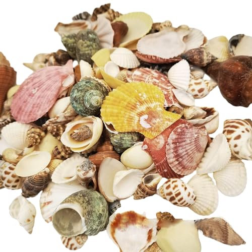 200g Scallop Shells for Crafts Muscheln zum Bemalen Seesterne Deko Muscheln Deko Vase Fillers Geeignet für Familienfeiern Hochzeitsdekorationen für DIY-Produktion usw(Gemischtes Modell)
