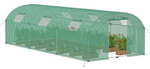 Froadp Serra in pellicola, 3 x 6 x 2 m, per pomodori e pomodori, 18 ㎡, stabile casetta per pomodori con tubo in acciaio zincato, con porta e finestra, verde