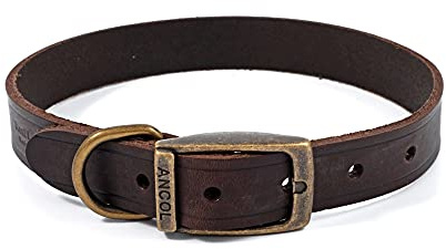 Ancol Latigo Flexible Stretchy Dog Collar Havana Leather Pet Training Accessory with Antique Gold Fixings - Soft and Resilient - Size 4 - 35-43 cm