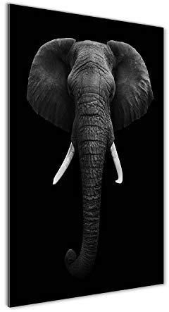 Tulup Peinture sur verre trempé 70x140cm décoration murale tableau image - Éléphant d'Afrique