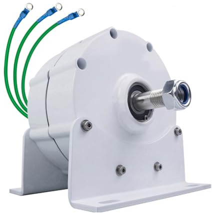 HENGJINGTR 3000W Getriebeloser Windturbinen-Generator, 220V-12V Niedrigdrehzahl AC-DC Leistung Magnet-Dynamo Wasser-Turbinen-Hydro-Generator für Wind- und Wasserturbine (mit Basis),220v