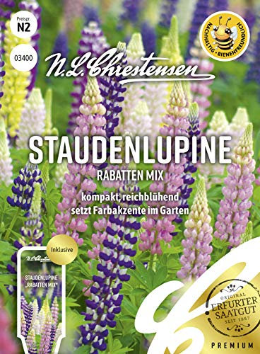 Staudenlupine Rabatten-Mix