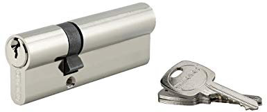 Cylindre de Serrure Profilé STD 30x60mm - Système de Sécurité Double Entrée Laiton Finition Nickel - Usage Porte d'Entrée - Fabriqué en France - Livré avec 3 Clés Crantées - THIRARD