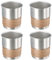 Kioiner 4 Pièces Tasses Inox de 300 ML, Bocks à Bière Incassable, Tasse Empilables，Gobelets Inox Résistants au Froid et à La Chaleur, Adaptés aux Pique-niques, Barbecues, Randonnées, Argenté