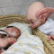 Anano Reborn Elf Baby 17 Zoll Realistische Elf Baby Puppe Lebensgröße Elf Reborn Baby Puppen Realistische Weiche Körper Reborn Fantasy Glatzkopf Elf Fee Hollywood Requisiten Für Mädchen Und Jungen