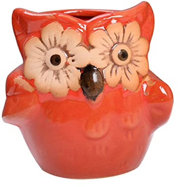 Milisten Mini-blumentöpfe Aus Keramik in Eulenform Mit Großen Augen Für Rote Entwässerungslöcher Für Setzlinge Und Stecklinge 2 Stück