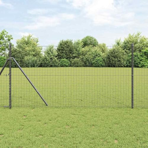 Euro-Clôture grise 1,2 x 25 m, fer enduit de PVC, robuste, résistant aux intempéries, pour jardin et terrasse, montage facile, barrière pour animaux