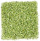 KYEYGWO 460 Gram, Chakra Petits Graviers Perles pour Aquarium Vase Jardin Décoration Bricolage Fabrication de Bijoux, Irrégulières Pierres Perles en Vrac Pierres Guérison, Olivine