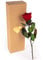 Rosa eterna rosso scuro – vera rosa conservata 3 anni 30-35 cm in scatola – Rosa eterna con gambo per vaso di fiori rosso accessori per la casa decorazione moderna e regalo d'amore per le donne
