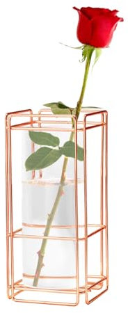 Mokylor Vase à Fleurs en Verre, Tube à Essai Hydroponique avec Support en Métal Doré, Station de Propagation de Plantes en Verre, Terrariums Géométriques Classiques Modernes pour la(Or Rose)