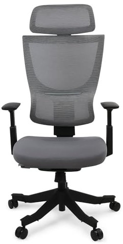 FLEXISPOT Ergonomischer Bürostuhl Schreibtischstuhl mit Lordosenstütze 3D-Armlehnen und Einstellung der Sitztiefe Office Stuhl BackSupport BS8G (Gräulich)