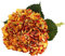 Tifuly Artificial Hydrangea Flower, 5 PCS Ramos de hortensias de Seda de Tallo Largo para Bodas, hogar, Hotel, decoración de Fiestas, centros de Mesa(Naranja Vintage)