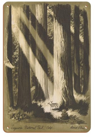 Sequoia National Park California - Giant Sequoia Trees - Vintage Travel Poster by David Klein c.1960s - 8 x 12 inch Vintage Wood Art Sign