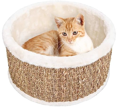 vidaXL Panier pour Chat Rond 36 cm Herbiers Marins Couchage Maison Animaux